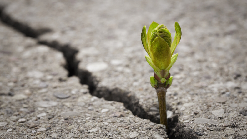 Foto: Nastco / iStock